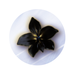 Black Orchid