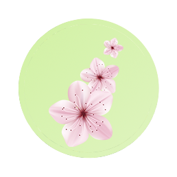 Sakura Flower